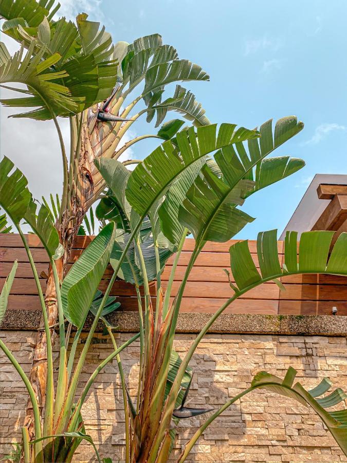 Yage Hotspring House Bed & Breakfast Jiaoxi Dış mekan fotoğraf